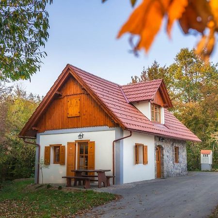 Vineyard Cottage Vina In Medu Trebelno Exterior photo
